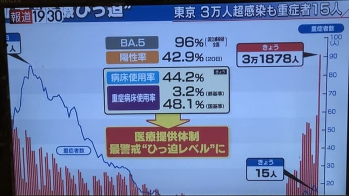 今日の東京の新規感染者3万人超