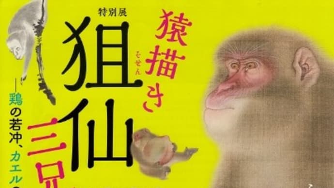 今日もらえたちらし