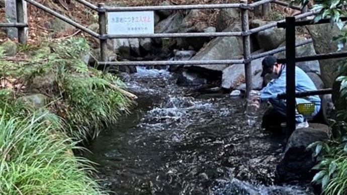 名水百選 箱島湧水【東吾妻町】