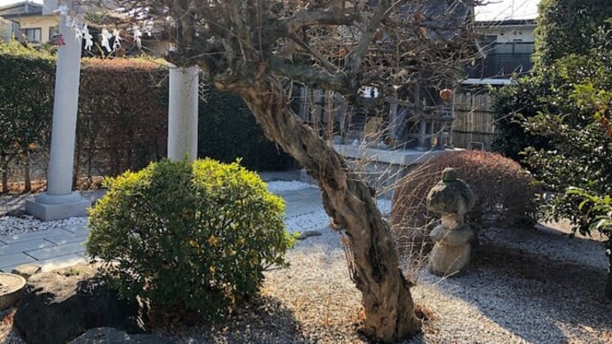 疑問集.179 徒歩で行ける神社やお寺へ.おまけ