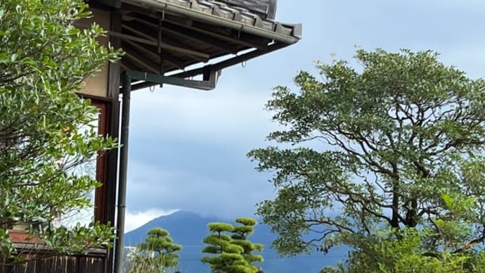秋の茶会と桜島