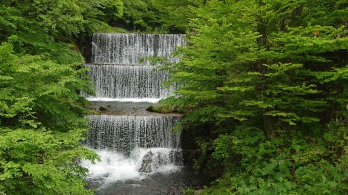 土湯の山奥、不思議な花の館