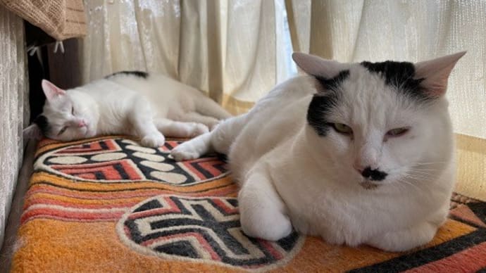 お仕事