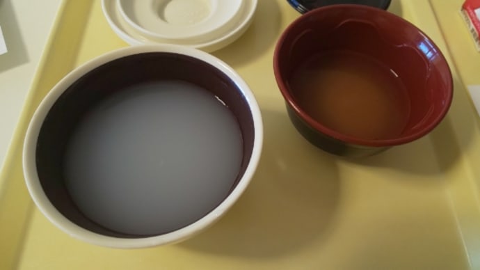 絶食が解かれる・・・のぶたと胃癌日記