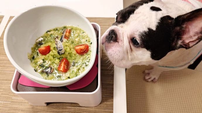 Bowls Fresh Dog Foodをお試し中