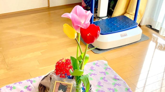 ようやく春本番🌷