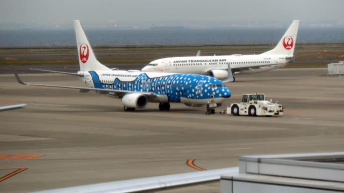 東京 特別塗装機体 (ジンベエジェット)