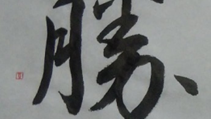 選挙の宣伝カーが通るようになりました;;