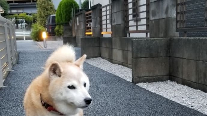 クリンへの想いは尽きなくて・・・20