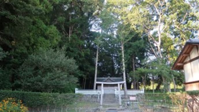 藤崎神社