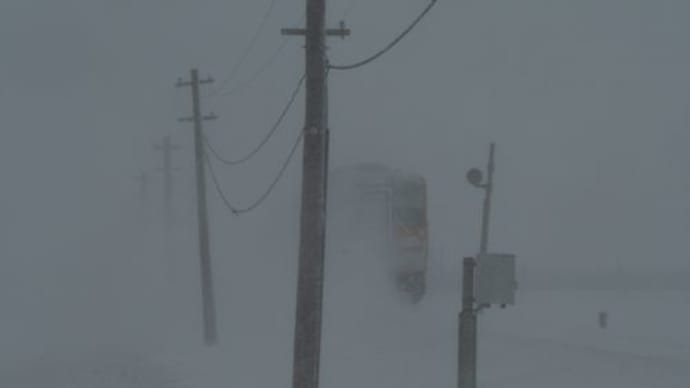 地吹雪(じふぶき)