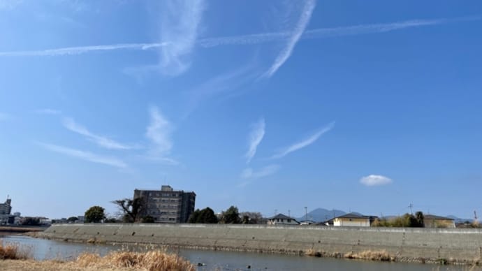 マスク着用の復活〜花粉症対策として(3/1)