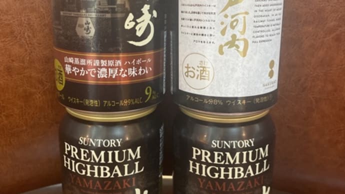 本当にウィッグなの⁈