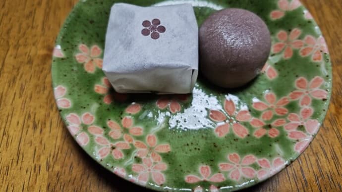 1年の折り返し!
