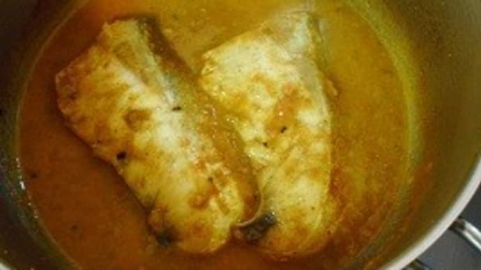 本日の医食同源