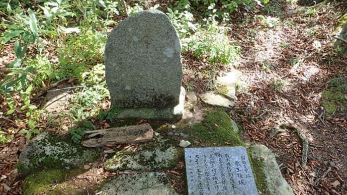 高坪山(570.5m) 蔵王権現コース