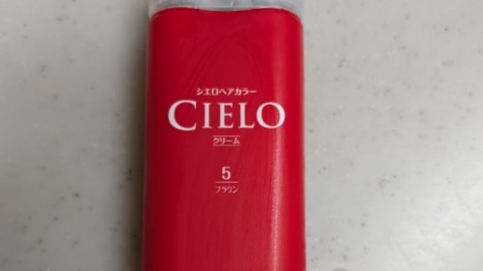 只今・ヘアカラー中です ( ̄ー ̄)ニヤリッ