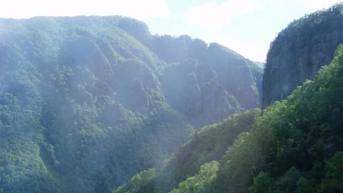 パリ五輪,赤字に寧ろ国際的なイメージ低下か!?ダフトパンクっ‼&2015北海道旅行,大雪山(黒岳側),下山するとエゾシカが‼&トランプ氏,福島原発被害を3000年も土地が使えないと揶揄っ‼&比
