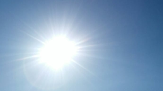 もしかして新種かな!?