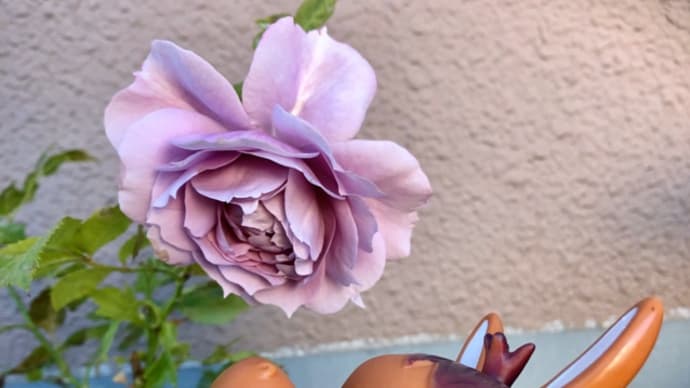 ロバくんと紫の薔薇