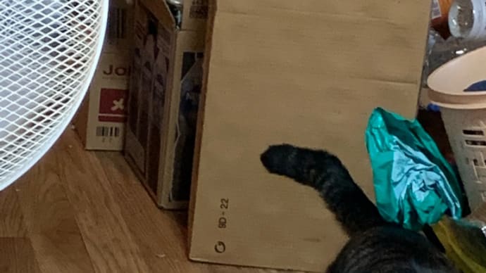 噛むねん