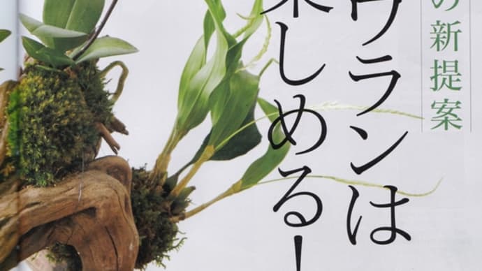 『NHK趣味の園芸』2020年3月号～コチョウランはもっと楽しめる！　2020年2月21日（金）