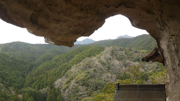 2022年4月2日(土) 臨時企画で伊勢山上を再訪。この日は桜が満開!!