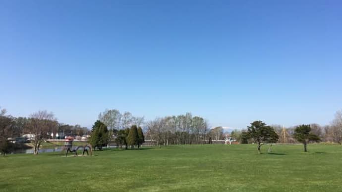 長沼温泉の枝垂れ桜からの由仁町「キッチンファームヤード」。