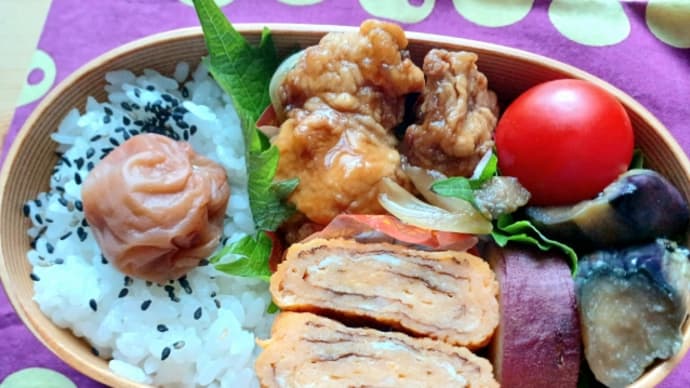 お弁当 2024.6/13