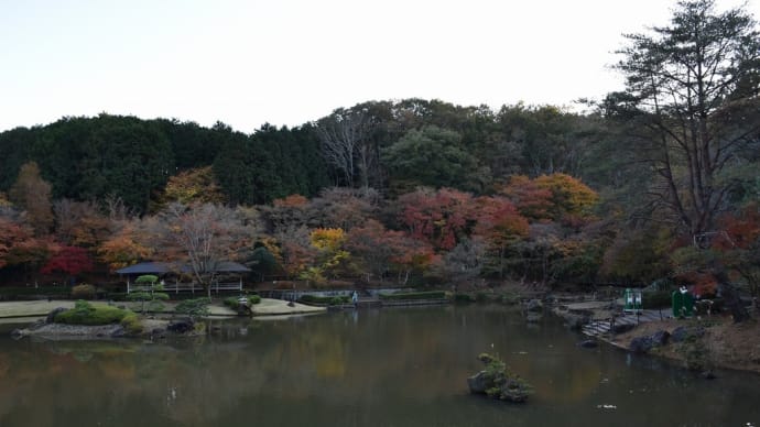 もみじ狩り 静岡県伊豆市修善寺 虹の郷 日本庭園(3)もみじ橋