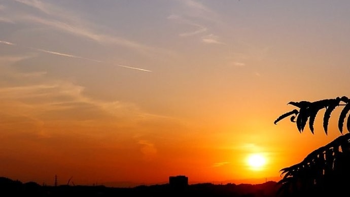 釣瓶落としの秋の夕陽