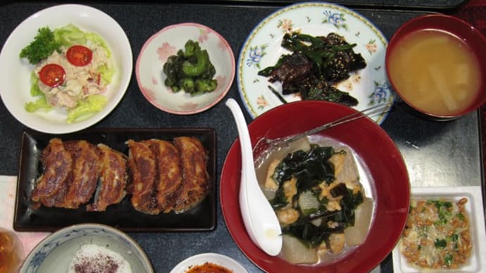 わが家の晩御飯　その95