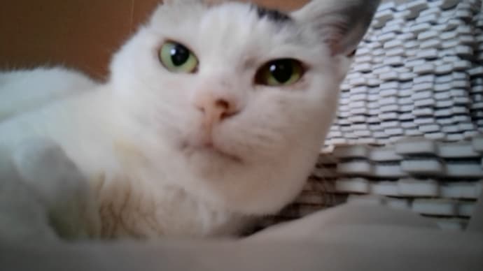 独り暮らしの節約術その2