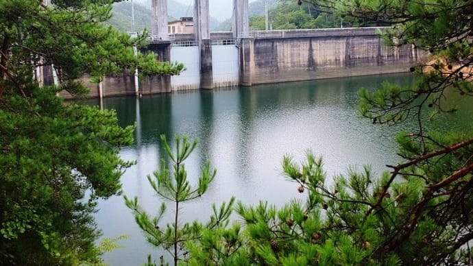渡ノ瀬ダムの湖は大きな渡ノ瀬貯水池です