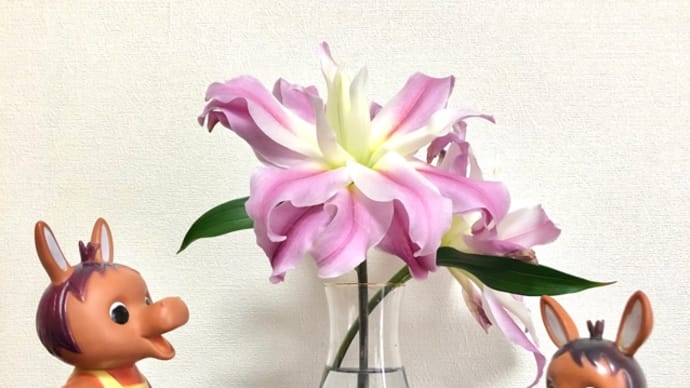 ロバくんと八重咲きのゆり