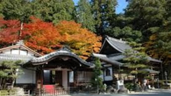 平林悠の気になるブログ