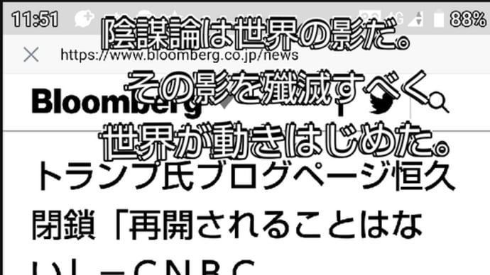 💘 21世紀の病「陰謀論」の衰退と消滅( リチャードコシミズ含む )
