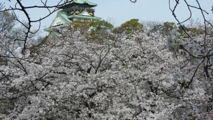 初春の大阪城公園を探訪