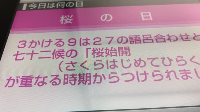 平塚朝散歩