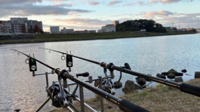 12月22日の鯉釣り