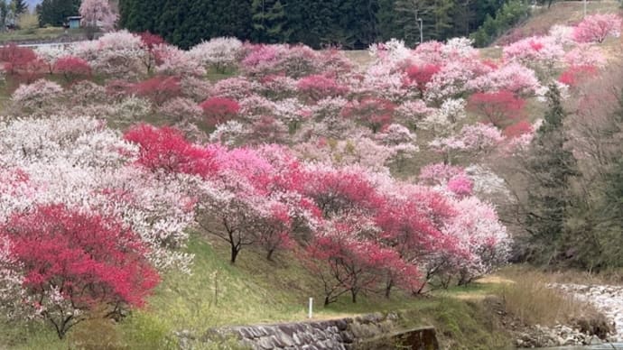 園原の里(花桃の里)