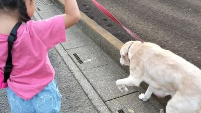 三連休の最終日