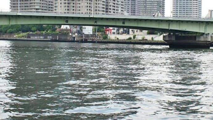 隅田川遠望 佃大橋・赤鳥居