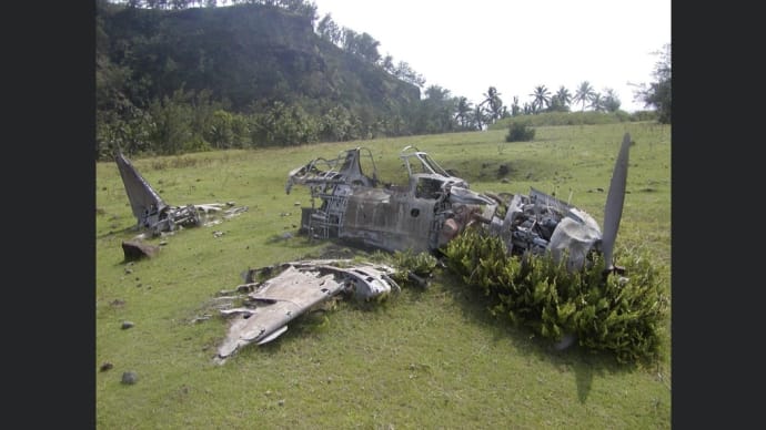 第二次世界大戦、マリアナ諸島、パガン島の日本三菱A6M「零」戦闘機の残像
