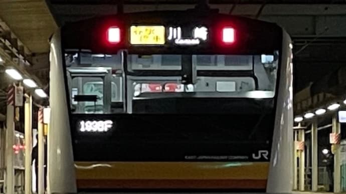 南武線のE233系8000番台を中野島駅で