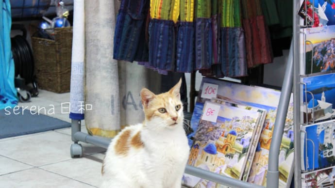 世界のお土産屋さんの猫たち