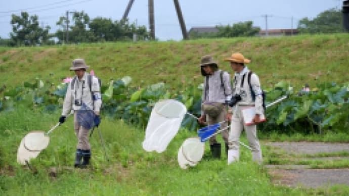 仕事なんです