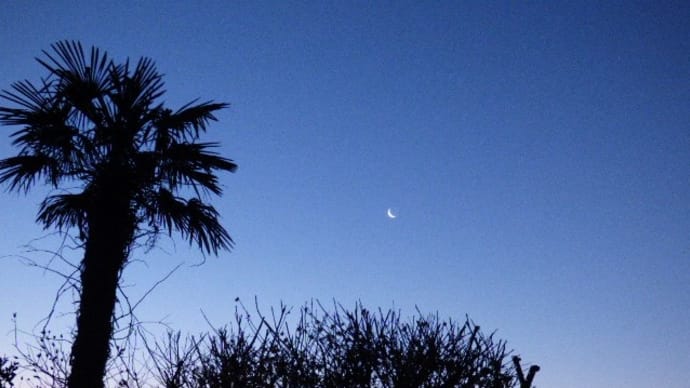 一日曇り空・・寒い寒い・・(*_*;