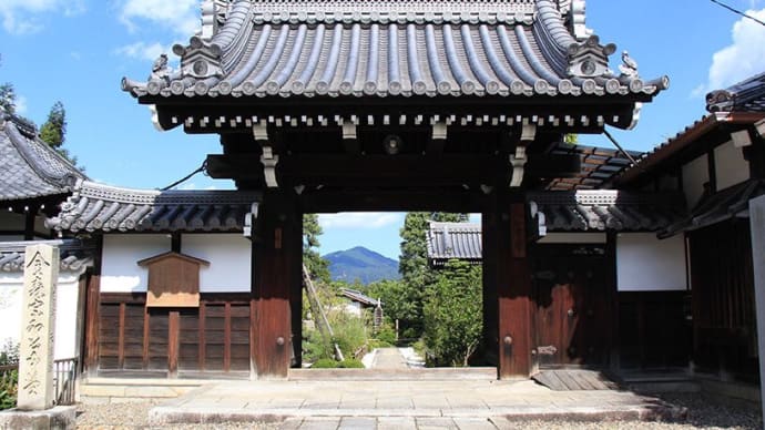 ⛰  天寧寺のカヤ  🚀
