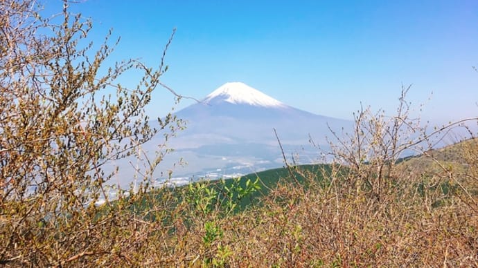 箱根ドライブ
